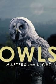 Image Owls: Masters of the Night
