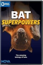 Image Bat Superpowers