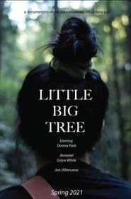 Little Big Tree series tv