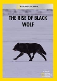The Rise of Black Wolf series tv
