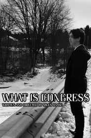 What Is Congress? series tv