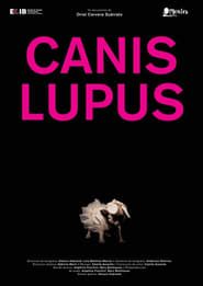 Image Canis lupus