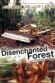 Disenchanted Forest-hd