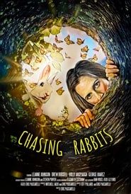 Image Chasing Rabbits