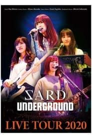 SARD UNDERGROUND LIVE TOUR 2020 series tv