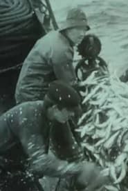 Image Fishing for Atlantic Herring Outside Aalesund 1914