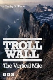 Image Troll Wall - The Vertical Mile