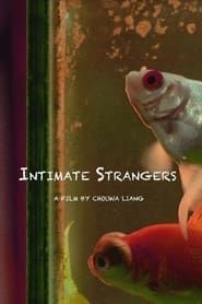Intimate Strangers series tv