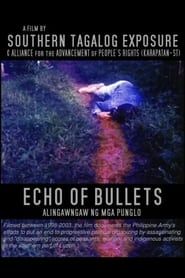 Image Echo of Bullets