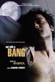 Not with a Bang series tv