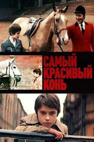 The Most Beautiful Horse series tv
