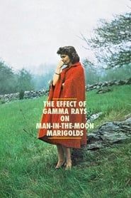 De l'influence des rayons gamma sur le comportement des marguerites (1972)