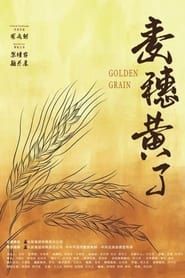 Golden Grain-hd