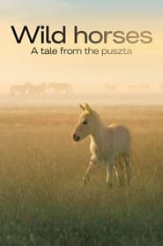 Image Wild Horses - A Tale From The Puszta