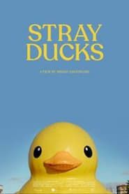 Stray Ducks series tv