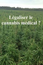 Image Légaliser le cannabis médical ?