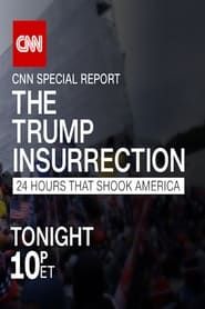 The Trump Insurrection: 24 Hours That Shook America series tv
