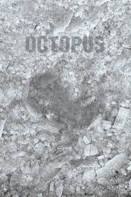 Image Octopus 2021