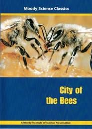 City of the Bees series tv