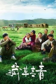 Tibetan Grass (2021)