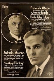 Under False Colors (1917)