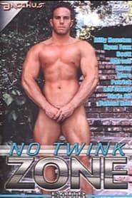 No Twink Zone 4 (2005)