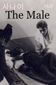 Image The Male 1928