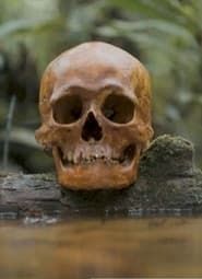 A Skull series tv