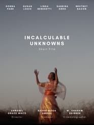 Incalculable Unknowns series tv