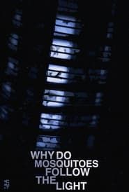 Why Do Mosquitoes Follow The Light? series tv