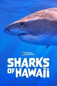 Image Sharks of Hawaii 2021