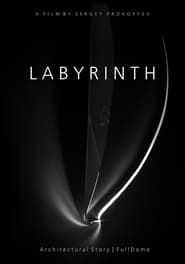 Labyrinth series tv