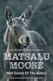 Image Erlebnis Erde: Die Elche von Matsalu – Estlands wilde Riesen 2019