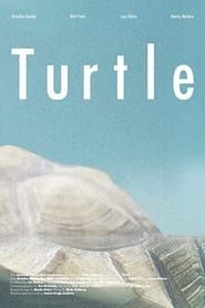 Turtle series tv
