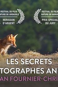 Image Les secrets des photographes animaliers