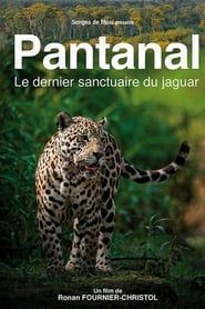 Pantanal, le dernier sanctuaire du jaguar series tv