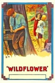 Image Wildflower 1914