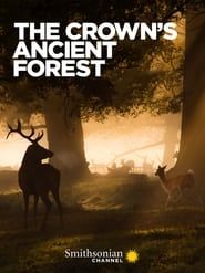 The Crown's Ancient Forest series tv