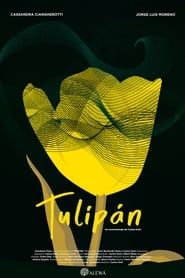 watch Tulipán