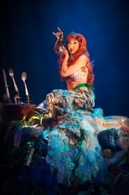 Voyage of the Little Mermaid-hd