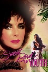 Sweet Bird of Youth 1989 streaming