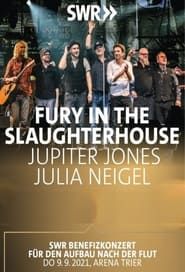 Image SWR Benefizkonzert - Fury in the Slaughterhouse, Julia Neigel und Jupiter Jones 2021