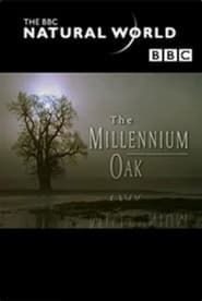 Image The Millennium Oak