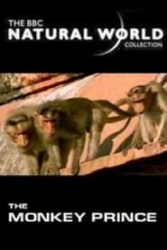 The Monkey Prince series tv