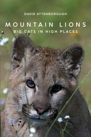 Mountain Lions: Big Cats in High Places series tv