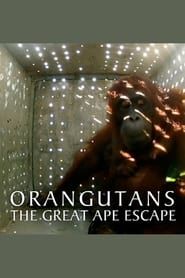Orangutans: The Great Ape Escape 2013 streaming