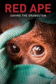 Red Ape: Saving the Orangutan series tv