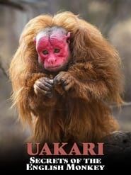 Image Uakari: Secrets of the English Monkey