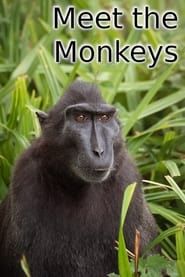 Meet the Monkeys series tv