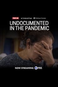 Image Undocumented in the Pandemic